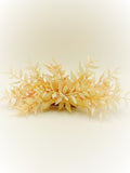 Peineta Ruscus