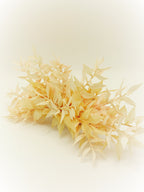 Peineta Ruscus