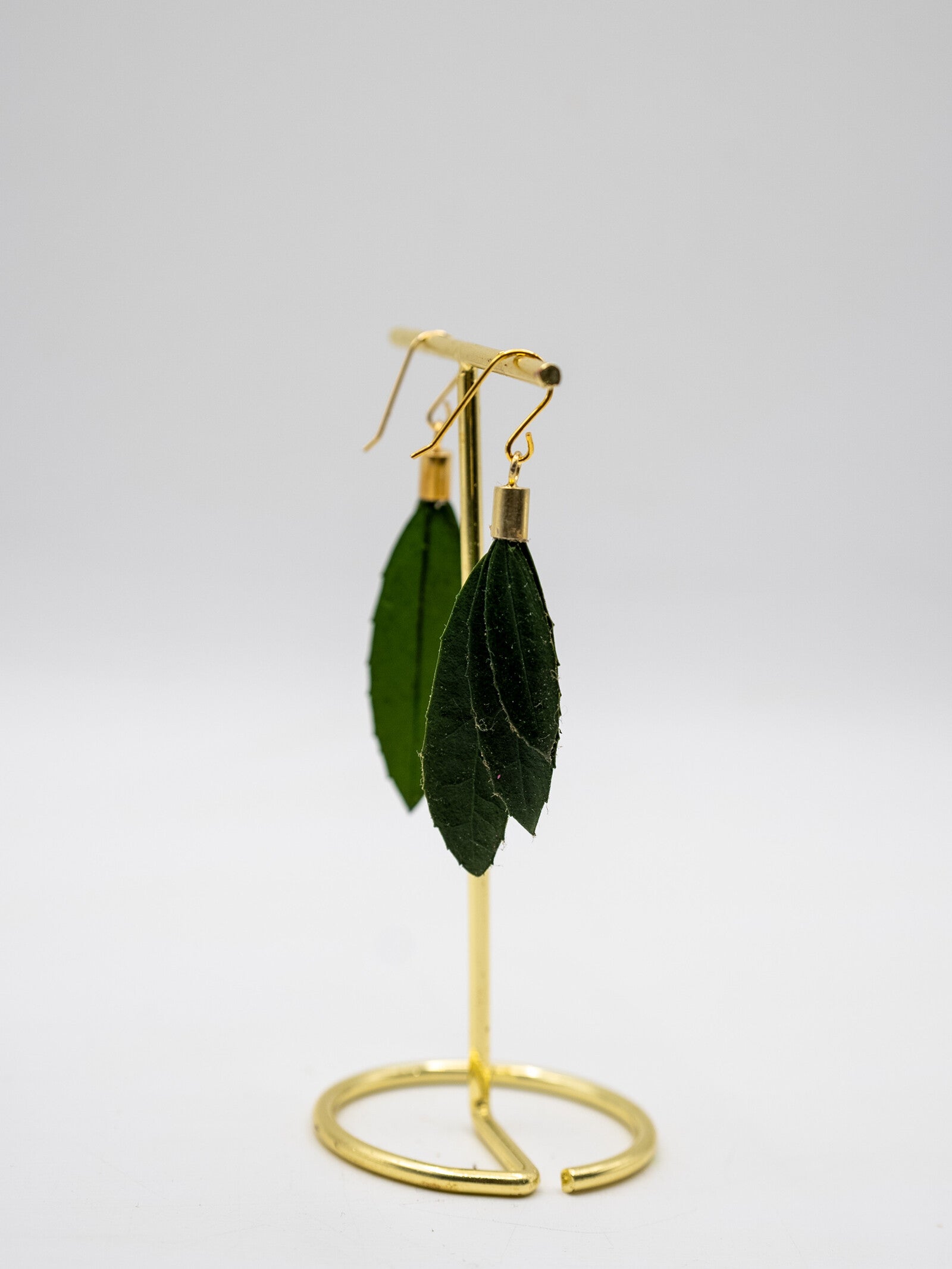 Olivo