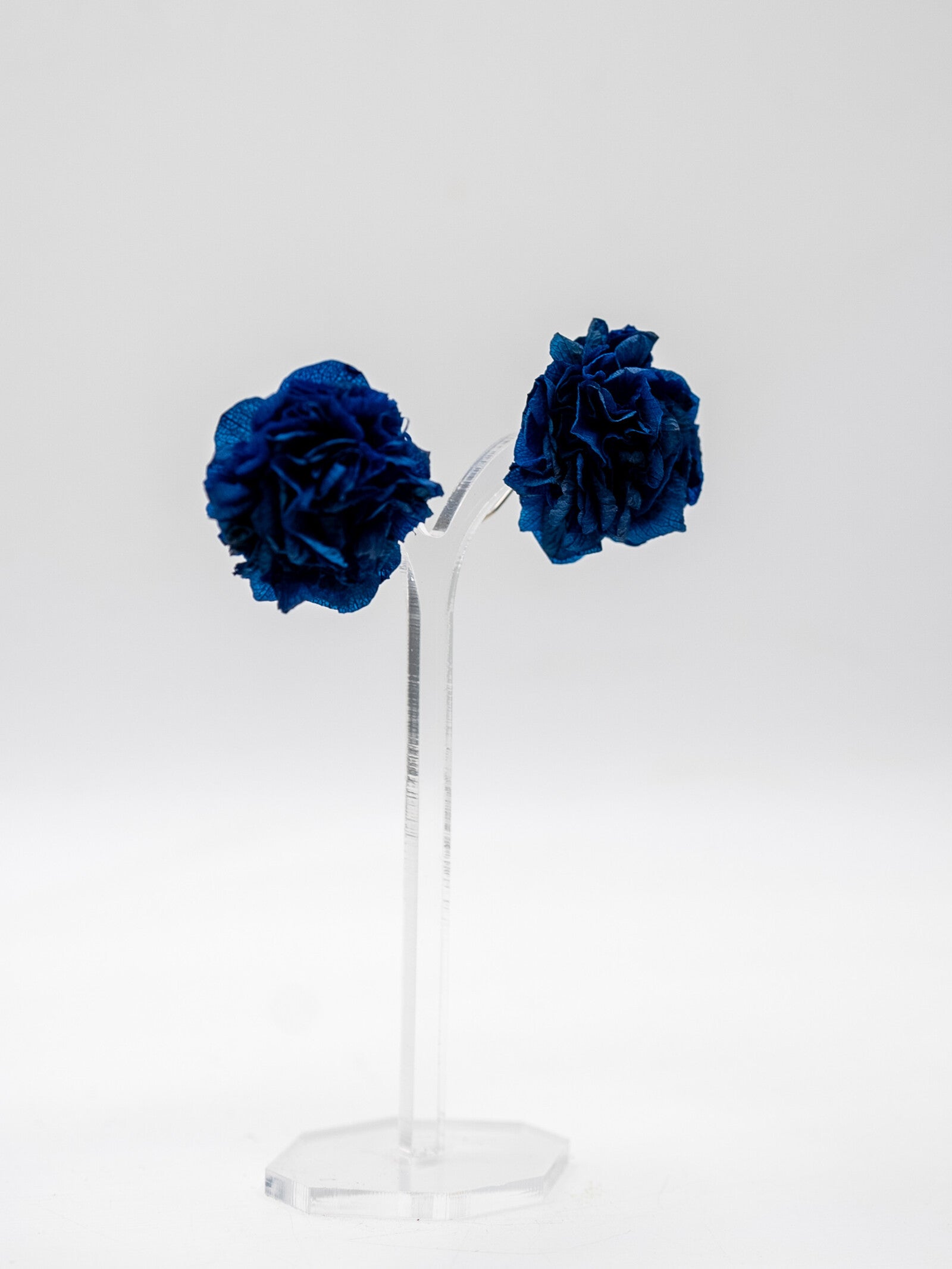Hortensia botón